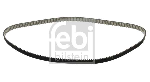 Timing Belt